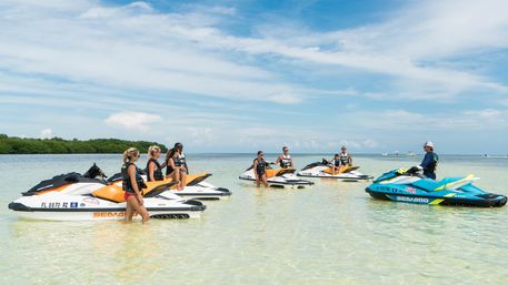 Guided Jet Ski Tour with Wildlife & Scenic Stops image 6