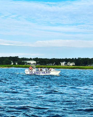 Dolphin Tour on Hilton Head! image 5