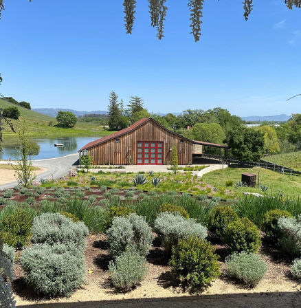 Wine Wonderland: Indulge in Sonoma and Napa's Finest with Rosé Wine Tours image 10