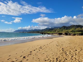 North Shore Group Getaway: Five 3-BR Units for Up to 50 Guests image 68