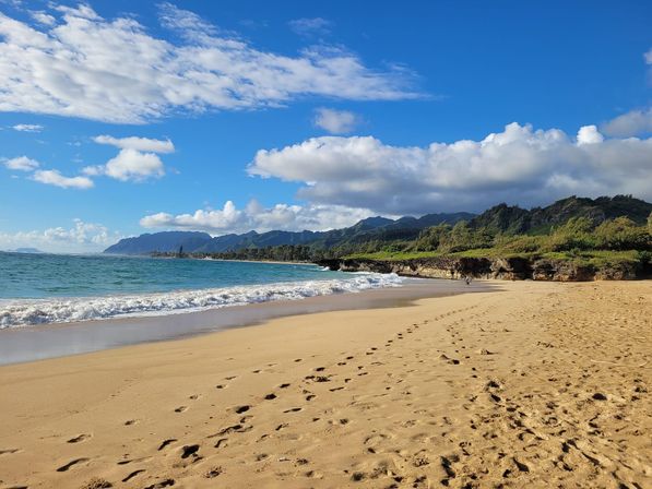North Shore Group Getaway: Five 3-BR Units for Up to 50 Guests image 68