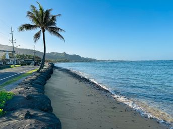 North Shore Group Getaway: Five 3-BR Units for Up to 50 Guests image 92