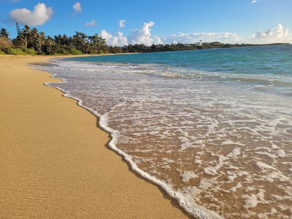 North Shore Group Getaway: Five 3-BR Units for Up to 50 Guests image 96