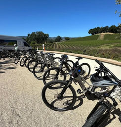 Sip, Sparkle & Ride: Castoro Cellars Vineyard E-Bike Tour  image 3