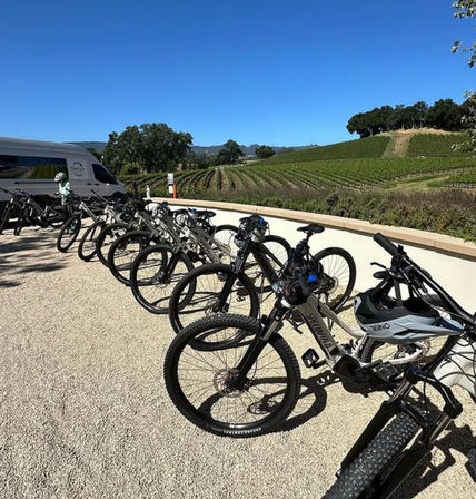 Sip, Sparkle & Ride: Castoro Cellars Vineyard E-Bike Tour  image 3