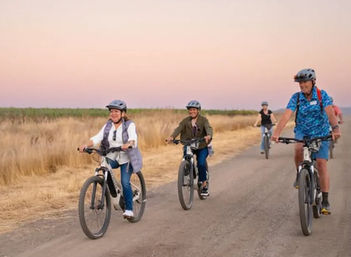 Sip, Sparkle & Ride: Castoro Cellars Vineyard E-Bike Tour  image 4