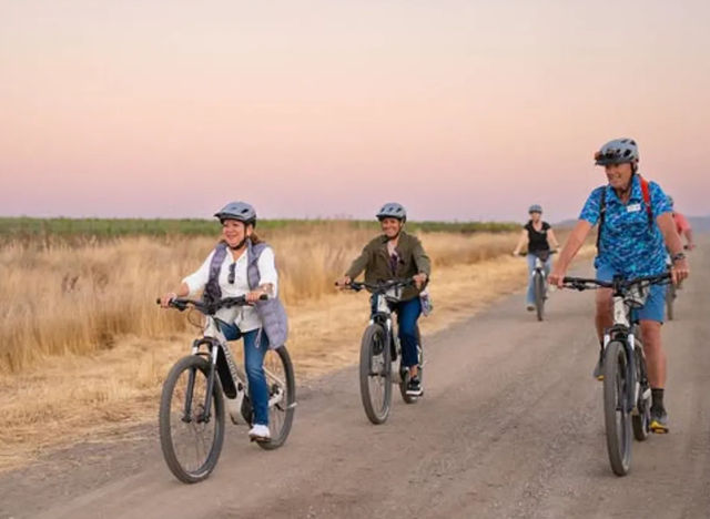 Sip, Sparkle & Ride: Castoro Cellars Vineyard E-Bike Tour  image 4