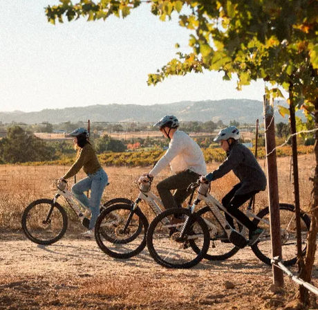 Sip, Sparkle & Ride: Castoro Cellars Vineyard E-Bike Tour  image 1