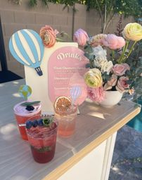 Cutest Themed BYOB Cocktails & Private Bartender: Your Pool Party Hype Woman image 15