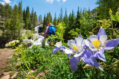Guided Scenic Hike: Half Day image 3
