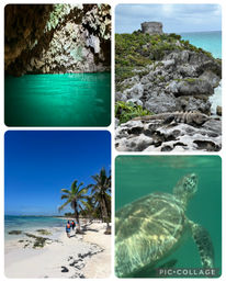 Custom Tour: Swim with Turtles, or in a Cenote, then Visit Tulum Ruins & Town image 2