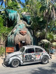 Custom Tour: Swim with Turtles, or in a Cenote, then Visit Tulum Ruins & Town image 9