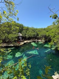 Custom Tour: Swim with Turtles, or in a Cenote, then Visit Tulum Ruins & Town image 3