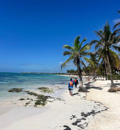 Custom Tour: Swim with Turtles, or in a Cenote, then Visit Tulum Ruins & Town image