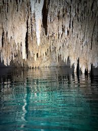 Custom Tour: Swim with Turtles, or in a Cenote, then Visit Tulum Ruins & Town image 6