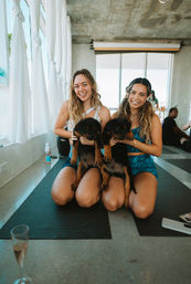 Puppysphere: Puppy Yoga + Bubbly, Private Puppy Yoga, Puppy Socials, Puppy Meditations & More image 4
