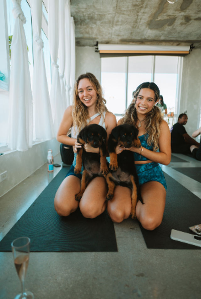 Puppysphere: Puppy Yoga + Bubbly, Private Puppy Yoga, Puppy Socials, Puppy Meditations & More image 4