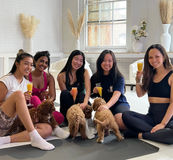 Thumbnail image for Puppysphere: Puppy Yoga + Bubbly, Private Puppy Yoga, Puppy Socials, Puppy Meditations & More