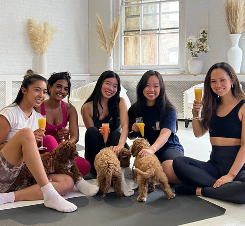 Puppysphere: Puppy Yoga + Bubbly, Private Puppy Yoga, Puppy Socials, Puppy Meditations & More image 1
