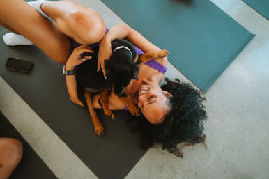 Puppysphere: Puppy Yoga + Bubbly, Private Puppy Yoga, Puppy Socials, Puppy Meditations & More image 21