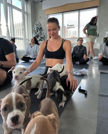 Puppysphere: Puppy Yoga + Bubbly, Private Puppy Yoga, Puppy Socials, Puppy Meditations & More image 2
