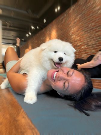 Puppysphere: Puppy Yoga + Bubbly, Private Puppy Yoga, Puppy Socials, Puppy Meditations & More image 9