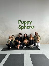 Puppysphere: Puppy Yoga + Bubbly, Private Puppy Yoga, Puppy Socials, Puppy Meditations & More image 17