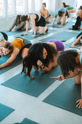 Puppysphere: Puppy Yoga + Bubbly, Private Puppy Yoga, Puppy Socials, Puppy Meditations & More image 19