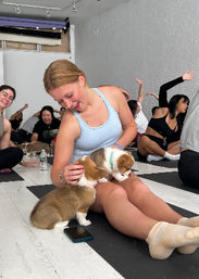 Puppysphere: Puppy Yoga + Bubbly, Private Puppy Yoga, Puppy Socials, Puppy Meditations & More image 20