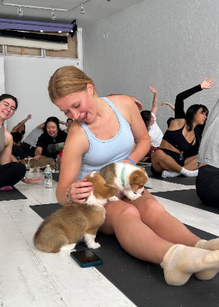 Puppysphere: Puppy Yoga + Bubbly, Private Puppy Yoga, Puppy Socials, Puppy Meditations & More image 20