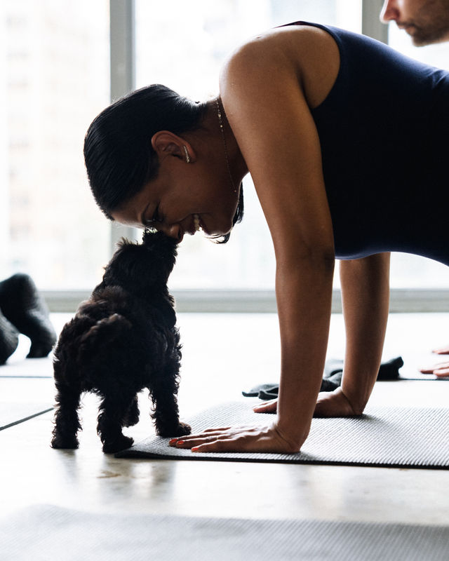 Puppysphere: Puppy Yoga + Bubbly, Private Puppy Yoga, Puppy Socials, Puppy Meditations & More image 3