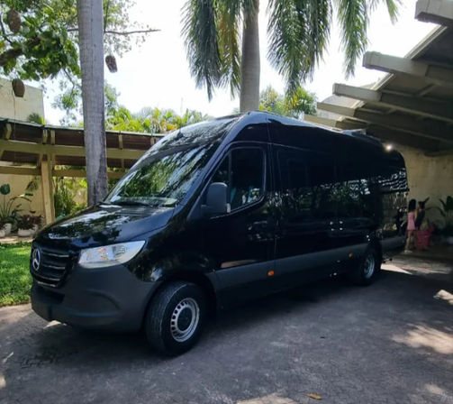Large Group Transportation from Tulum Airport: Mercedes Sprinter for Up to 18 Passengers image 1