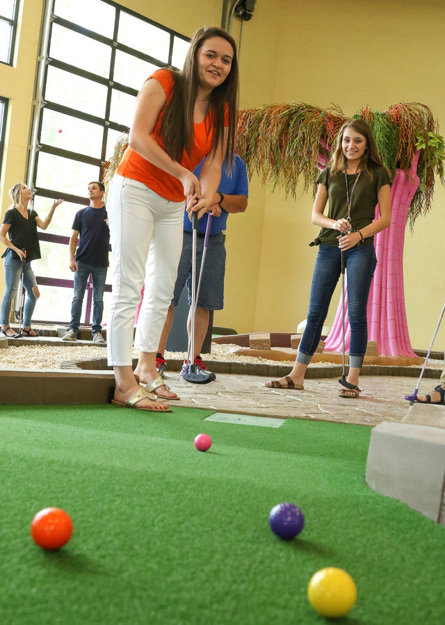 #1 Mini Golf & Bowling Game Night in the Smokies image 4