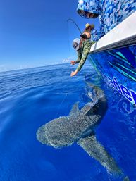 Galveston's Favorite Fishing Charter: Big Fish & Big Thrills!  image 31
