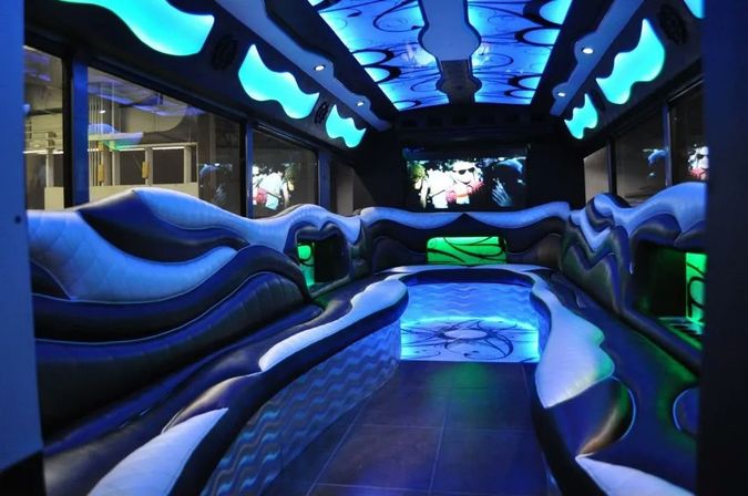 VIP 24-Passenger Party Bus Transportation Service (BYOB) image 6