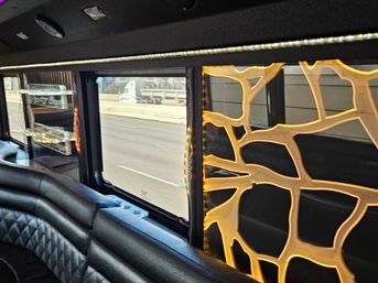 VIP 24-Passenger Party Bus Transportation Service (BYOB) image 5