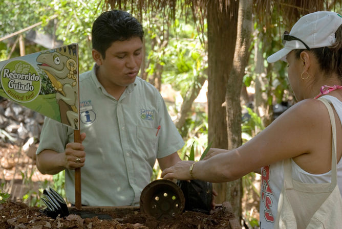 Xel-Há Natural Park Tour Packages image 8