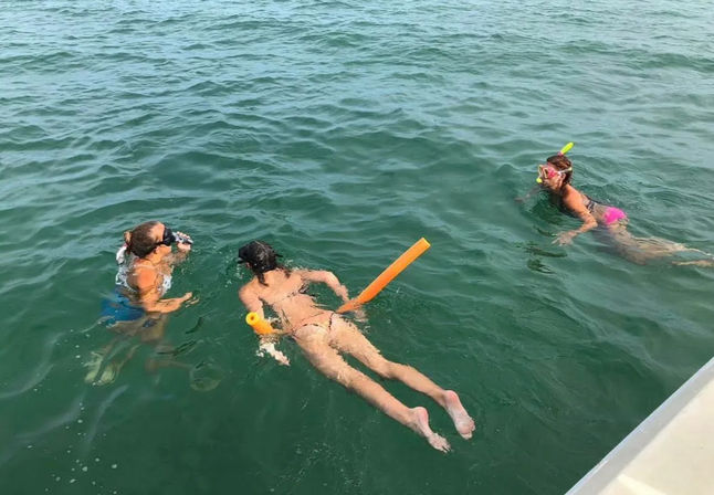 Anna Maria Island Adventure: Snorkeling, Shells & Memories image 3