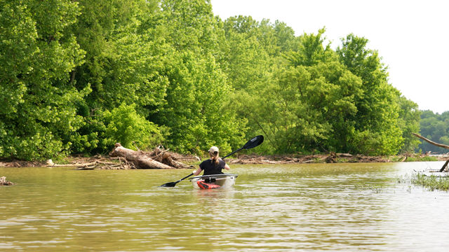 Insta-Worthy See-Through Kayak Tour of Old Hickory Lake image 3
