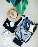 Thumbnail image for Store & Explore: Luggage Storage in Orlando for You & Your Crew