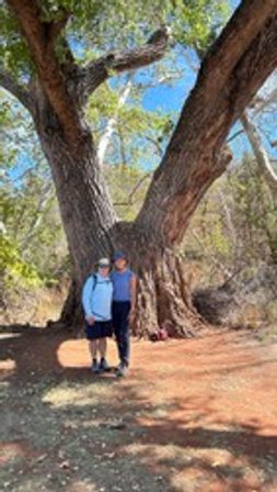 Sedona Hiking & Yoga Experience image 6