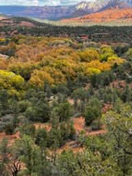 Sedona Hiking & Yoga Experience image 2