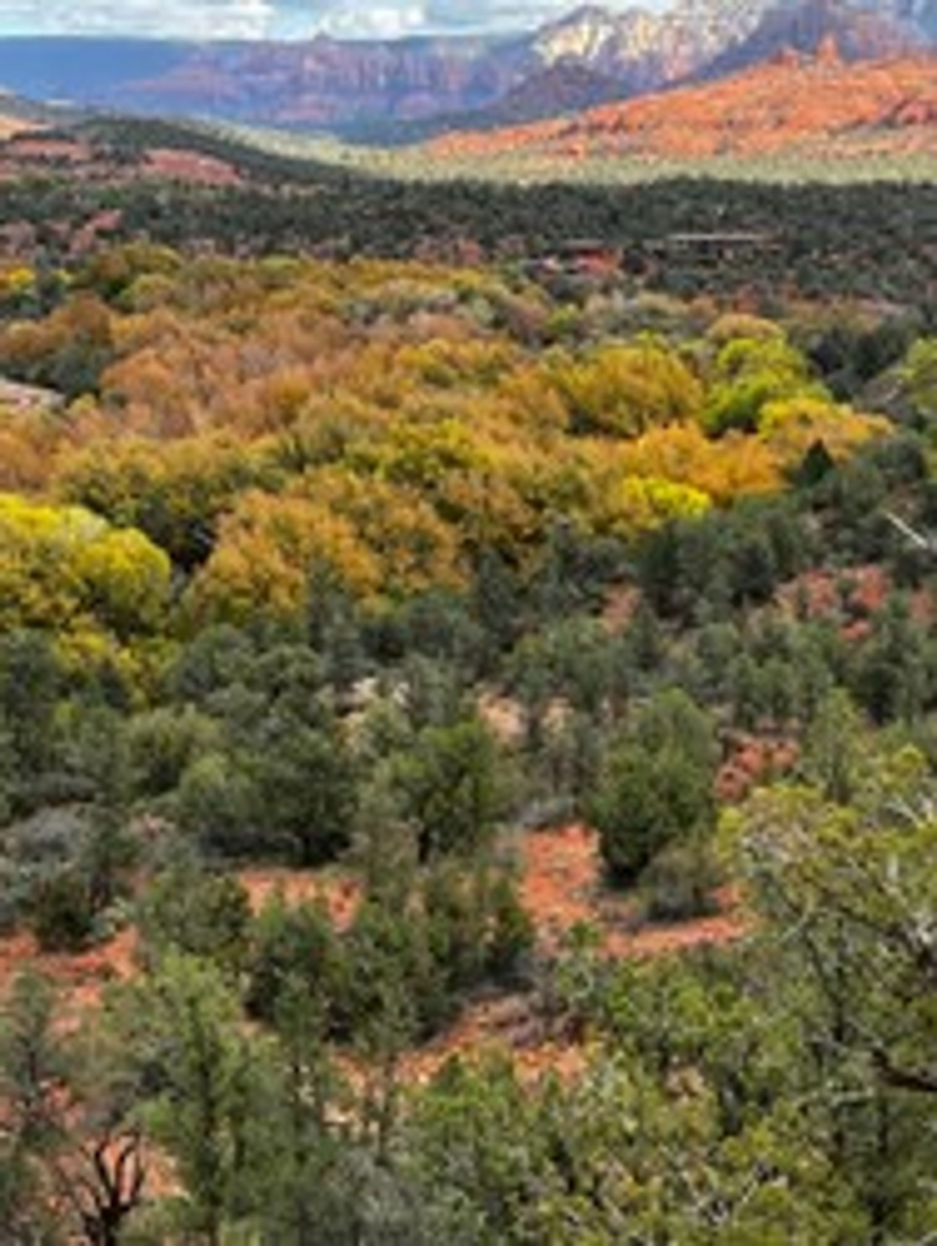 Sedona Hiking & Yoga Experience image 2