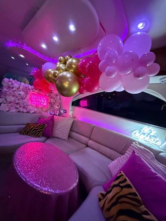 Pink Miami Yacht Charter Hello Kitty: 50ft Pink Maxum Charter image 5