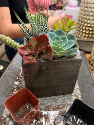 DIY Planting Bar at Rooted Treasure Succulents image 6
