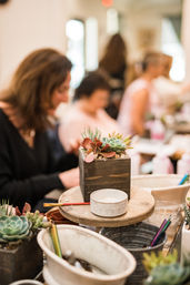 DIY Planting Bar at Rooted Treasure Succulents image 7