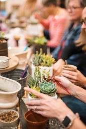 DIY Planting Bar at Rooted Treasure Succulents image 2