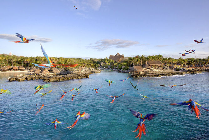 Xcaret Plus Tour: Includes Transport, Park Entry, Lunch, Drinks & Show image 1