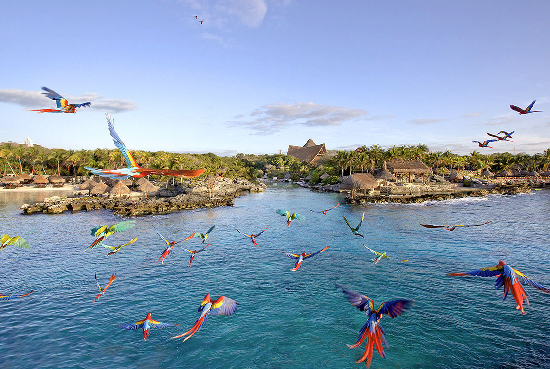 Xcaret Plus Tour: Includes Transport, Park Entry, Lunch, Drinks & Show image 1