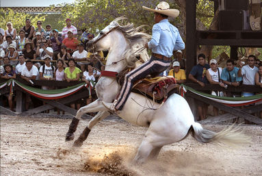 Xcaret Plus Tour: Includes Transport, Park Entry, Lunch, Drinks & Show image 11